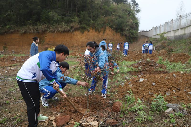 種下20萬元常青樹 禮獻建黨百年華誕